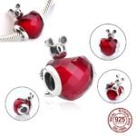 Rubin Charm